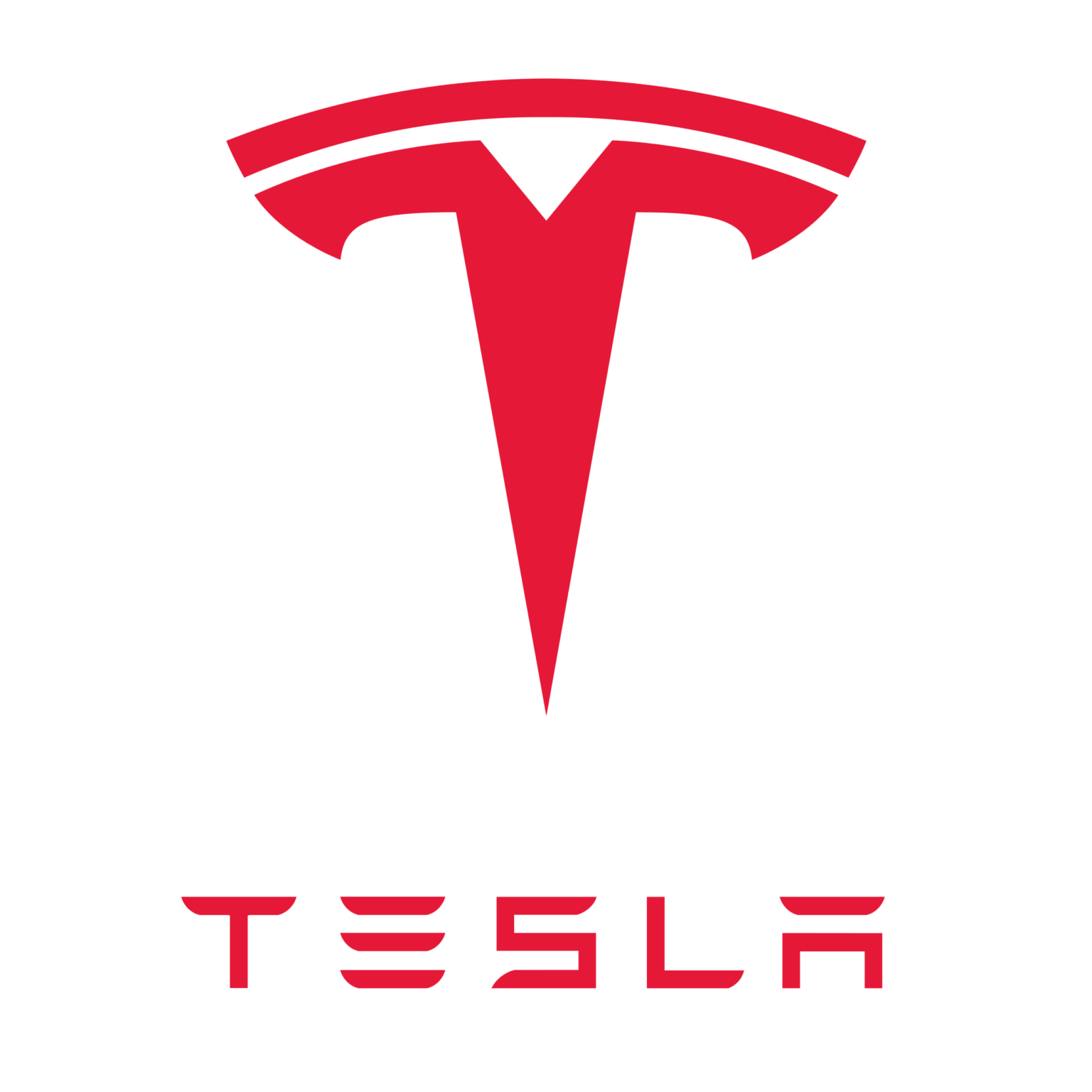 Tesla (TSLA) Earnings Review July 23, 2024
