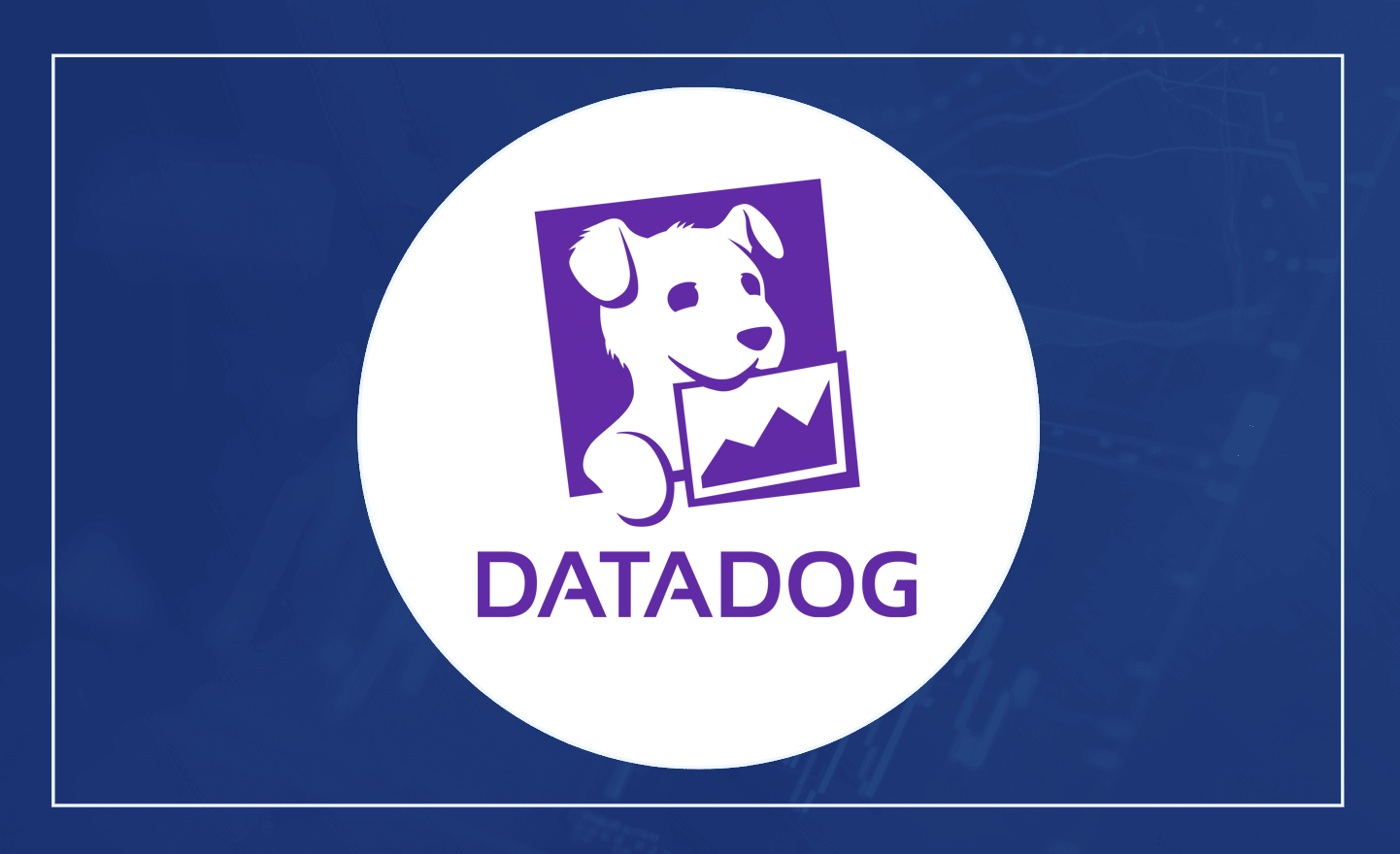 Datadog (DDOG) Product Releases June 29, 2024