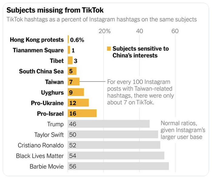 TikTok 丟失的主題